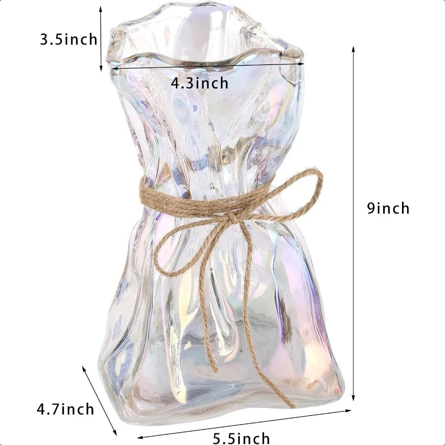 Modern Glass Irregular Shaped Vase
